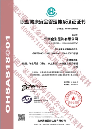 職業(yè)健康安全管理體系認(rèn)證證書（中文WX）
